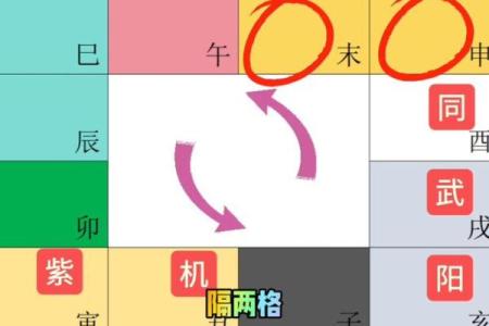 紫微斗数美国神婆在线排盘 星盘美国神婆？