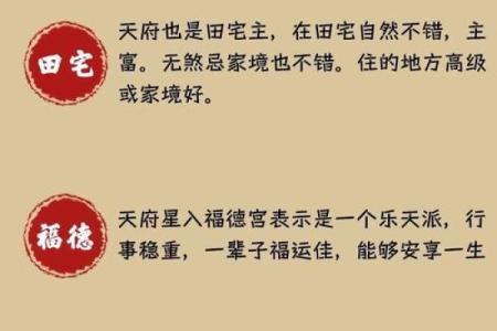 紫薇圣人与紫薇斗数
