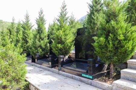 土葬与骨灰葬墓地风水埋葬讲究
