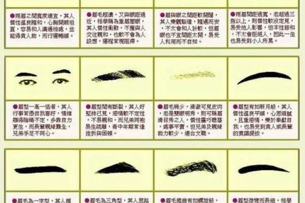 男人眉毛看相算命