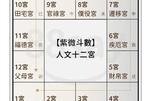 紫薇斗数太阴守事业