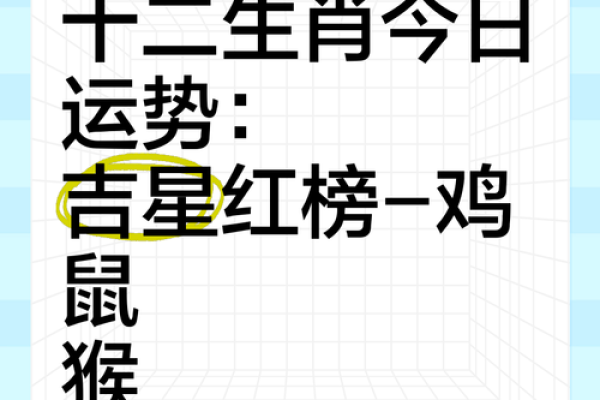 生肖猴今日运势十二星座网