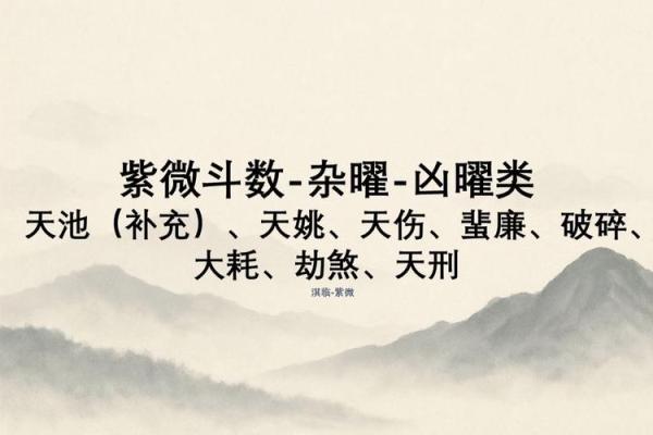 紫薇斗数吉曜是指什么