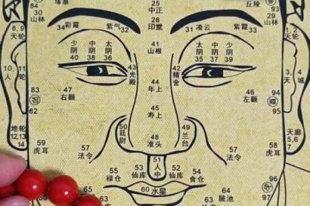 男人眉毛看相算命