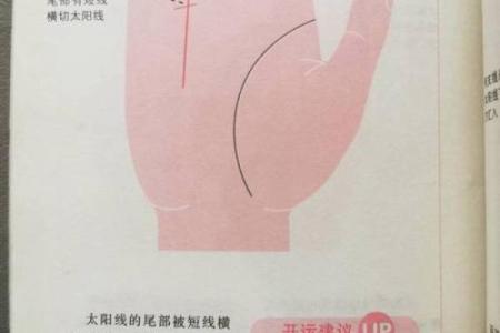 手相太阳线揭秘算命图解大全