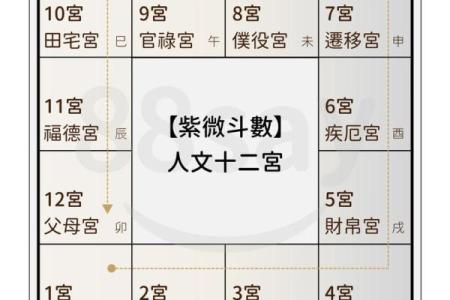 紫薇斗数太阴守事业