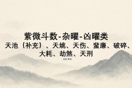 紫薇斗数吉曜是指什么