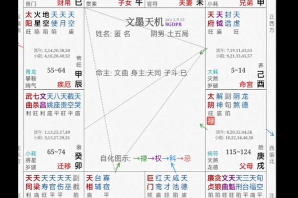 紫薇斗数领袖格局