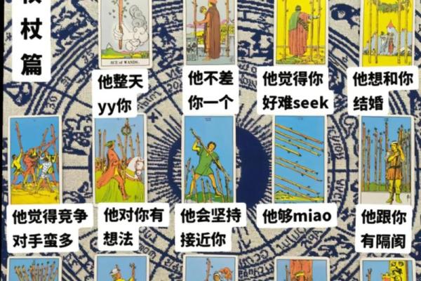 塔罗测试命中注定的伴侣