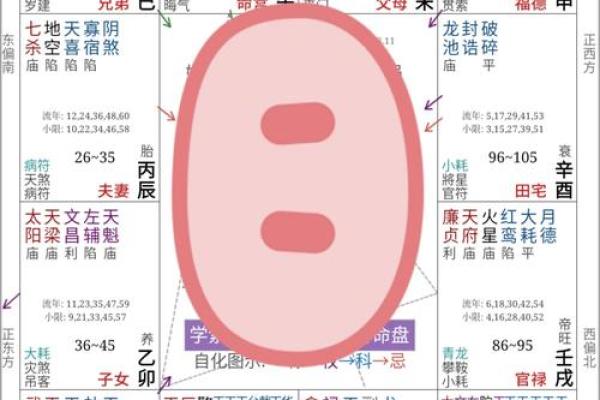 旬空紫薇斗数