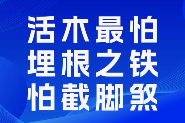 八字强根