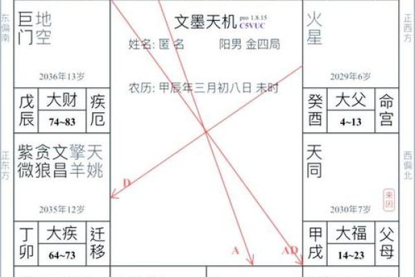 【紫微斗数】排盘技巧038：紫微斗数的未来发展