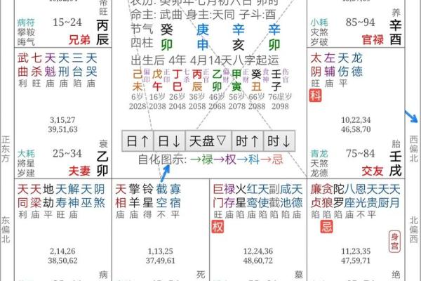 【紫微斗数】排盘技巧038：紫微斗数的未来发展