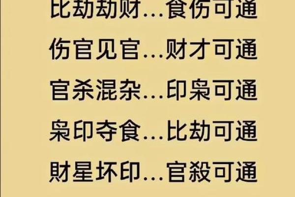 命格八字过旺什么意思