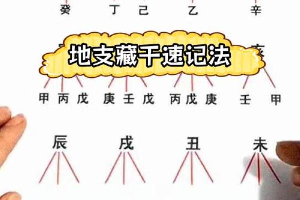 八字地支藏干怎么才能透出