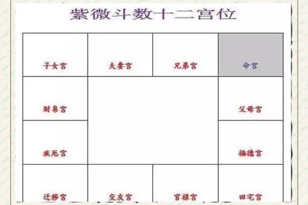 紫薇斗数命宫性格
