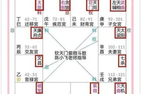 紫微排盘,紫微斗数怎么看自己的才华