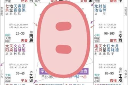 旬空紫薇斗数