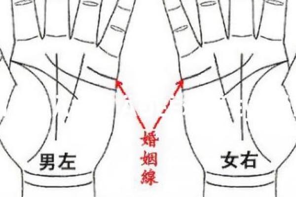 男人九种手相算命图解