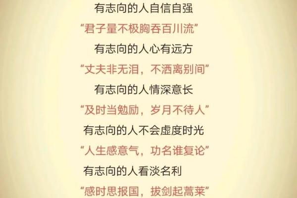 白岩松八字,撒贝宁八字