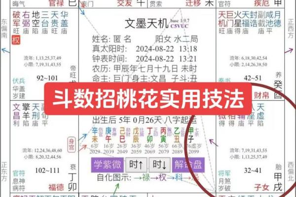 紫微斗数紫薇指什么