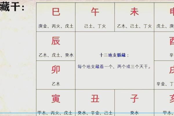 八字印在地支