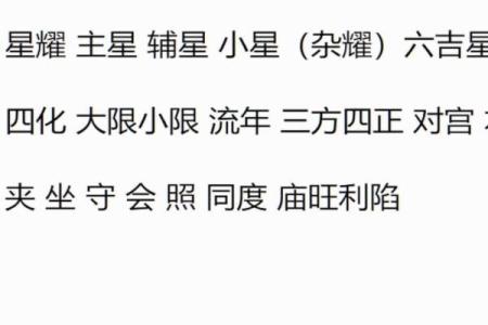 紫薇斗数中什么叫同度