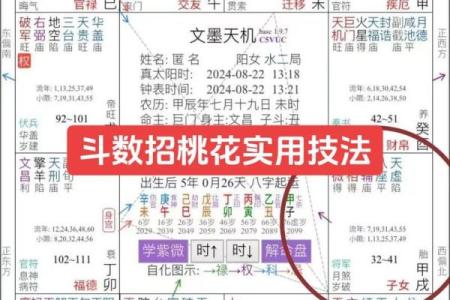 紫微斗数紫薇指什么