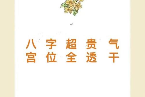 贵气的八字