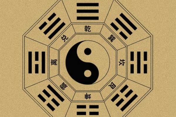 技术八字
