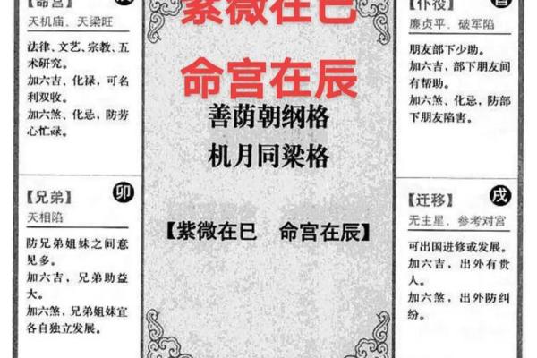 紫薇斗数免费入门