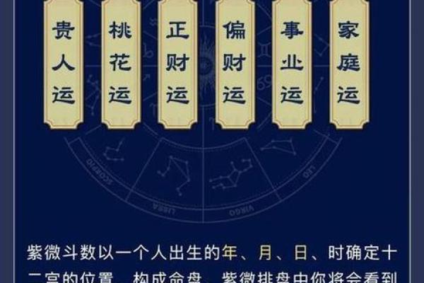 口才更好的紫薇斗数