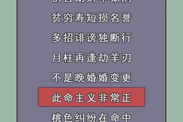 未时乙巳日八字精批：事业如何？财运如何？感情婚姻如何？