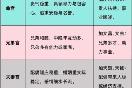 紫薇斗数事业成就