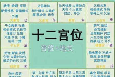 口才更好的紫薇斗数