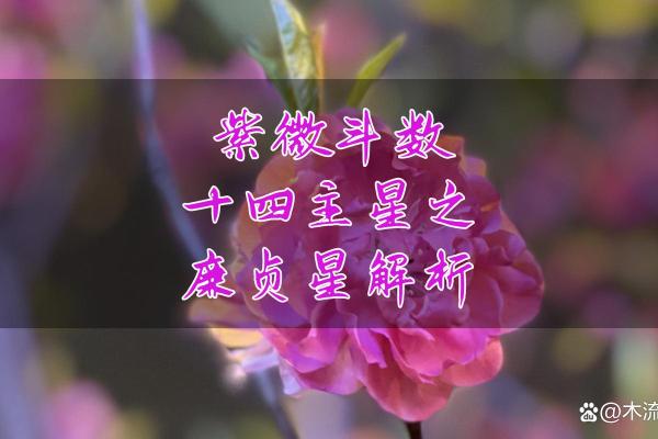 紫微斗数之财帛宫与诸星，廉贞星在财帛宫是什么意思？