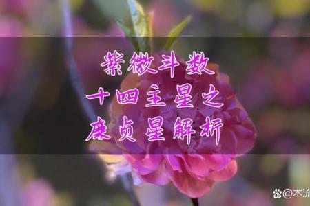 紫微斗数之财帛宫与诸星，廉贞星在财帛宫是什么意思？