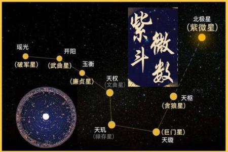 紫薇斗数的星曜属性