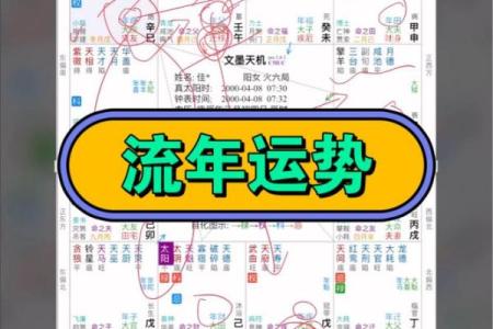 紫薇斗数创业流年