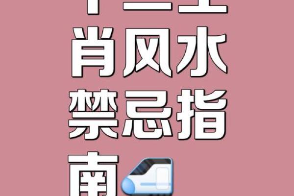 早看早赚：12生肖招财风水知识