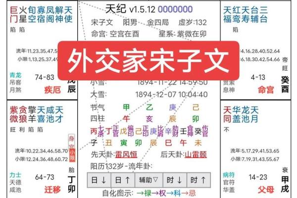 紫薇斗数命盘排盘软件