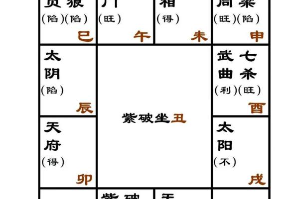 紫薇斗数嫁贵夫