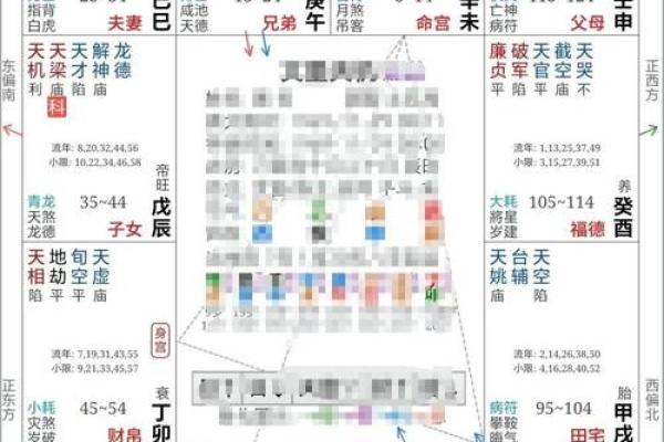 紫微斗数疾厄宫太阴化禄