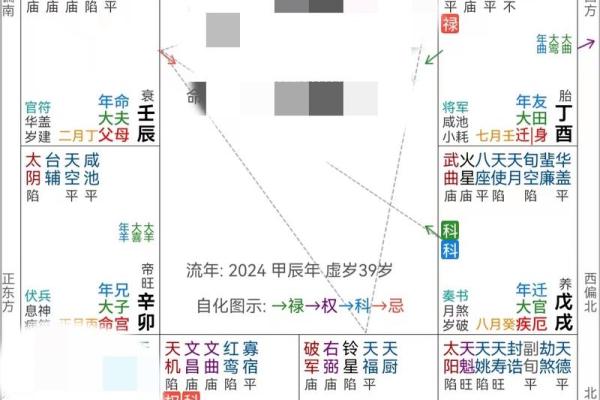 紫微斗数疾厄宫太阴化禄