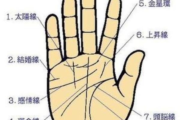 如何看手相算命看手相怎么看 如何看手相算命图片大全图解