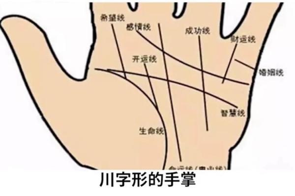 如何看手相算命看手相怎么看 如何看手相算命图片大全图解