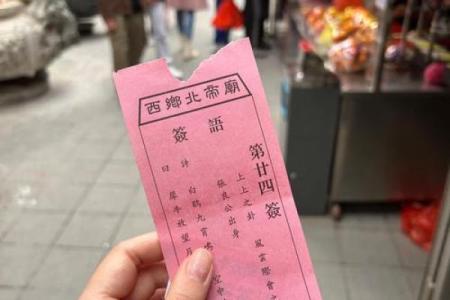 北帝灵签46签解释