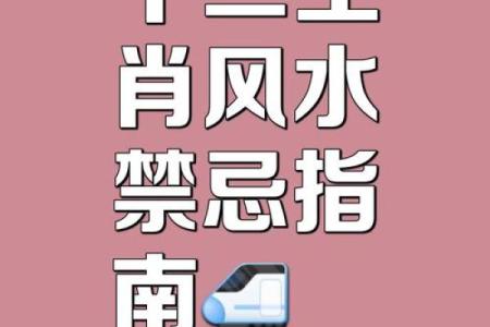 早看早赚：12生肖招财风水知识