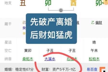 八字排盘软件下载