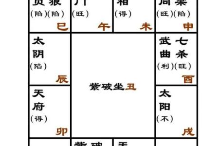 紫薇斗数嫁贵夫